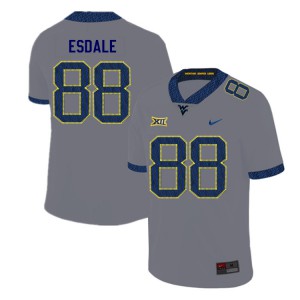 Mens West Virginia Mountaineers Isaiah Esdale #88 Gray 2019 Stitched Jersey 359814-662