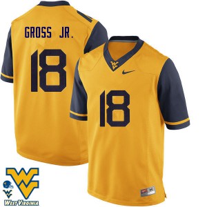 Men West Virginia Mountaineers Marvin Gross Jr. #18 Embroidery Gold Jersey 758980-679