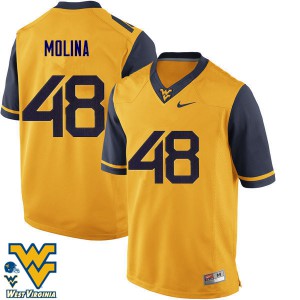 Men West Virginia Mountaineers Mike Molina #48 Embroidery Gold Jersey 135925-846