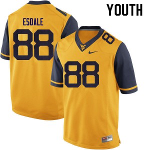 Youth West Virginia Mountaineers Isaiah Esdale #88 Football Gold Jersey 768226-239