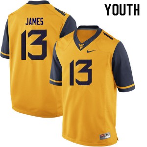 Youth West Virginia Mountaineers Sam James #13 College Gold Jersey 183547-302