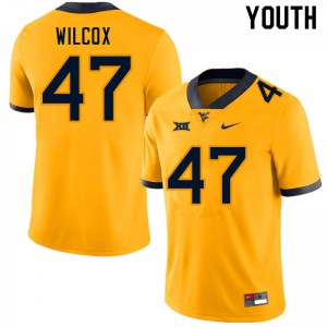 Youth West Virginia Mountaineers Avery Wilcox #47 Gold Player Jersey 143067-704
