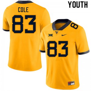 Youth West Virginia Mountaineers CJ Cole #83 Gold High School Jersey 689358-287