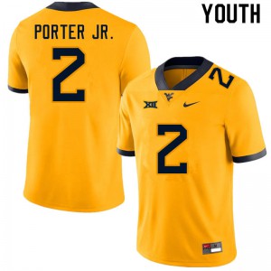 Youth West Virginia Mountaineers Daryl Porter Jr. #2 College Gold Jerseys 358189-891