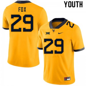 Youth West Virginia Mountaineers Preston Fox #29 Gold University Jerseys 360431-760