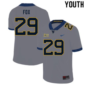 Youth West Virginia Mountaineers Preston Fox #29 Gray Official Jerseys 501140-125