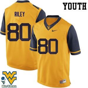 Youth West Virginia Mountaineers Chase Riley #80 Gold Stitch Jersey 634364-783