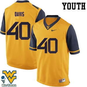 Youth West Virginia Mountaineers Fontez Davis #40 Gold Stitched Jersey 419593-372