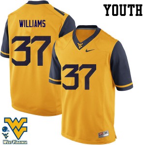 Youth West Virginia Mountaineers Kevin Williams #37 Gold Embroidery Jersey 897489-965
