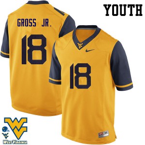 Youth West Virginia Mountaineers Marvin Gross Jr. #18 Gold University Jerseys 504992-574