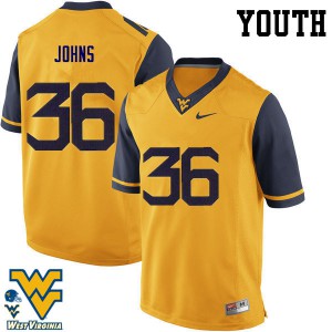 Youth West Virginia Mountaineers Ricky Johns #36 Gold University Jerseys 120091-764