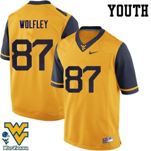 Youth West Virginia Mountaineers Stone Wolfley #87 NCAA Gold Jersey 228905-687