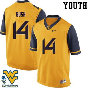 Youth West Virginia Mountaineers Tevin Bush #14 Stitch Gold Jersey 706238-409