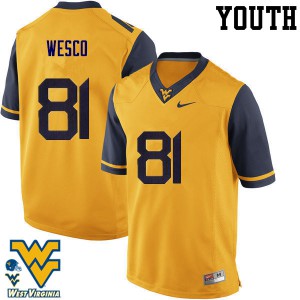 Youth West Virginia Mountaineers Trevon Wesco #81 Official Gold Jersey 909392-351