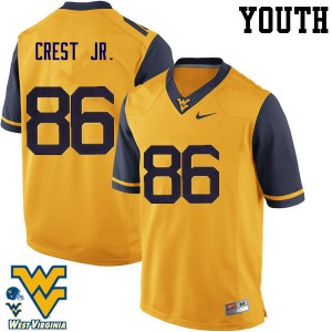Youth West Virginia Mountaineers William Crest Jr. #86 Gold Football Jerseys 393381-678