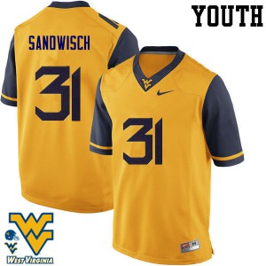 Youth West Virginia Mountaineers Zach Sandwisch #31 Gold Player Jersey 504991-329
